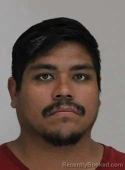 Mugshot of JOEL AMADOR