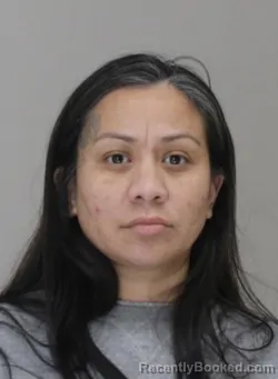 Mugshot of ANNA CASTILLO