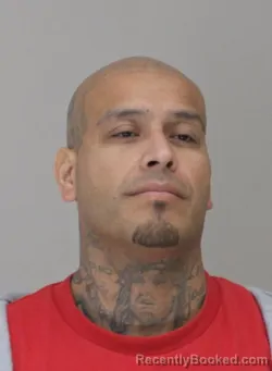 Mugshot of ROBERTO MENA