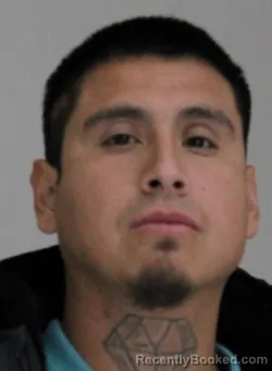 Booking photo from Dallas County, Texas