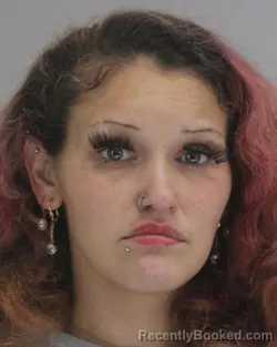 Mugshot of WHITNEY HOLLIFIELD