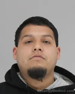 Mugshot of JOEL AVALOS