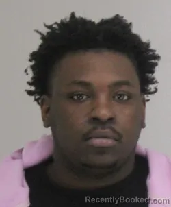 Mugshot of DAYVEUN MINNOW