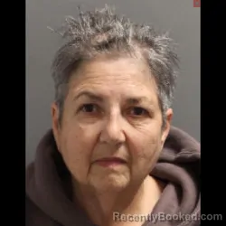 Mugshot of KIM MARIE FELDMAN