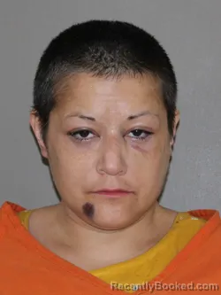 Mugshot of Erica M Lopez