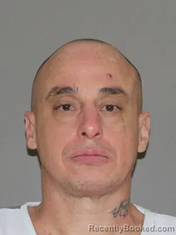 Mugshot of Michael C Lavine