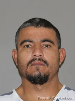Mugshot of Jose G Contreras