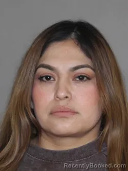 Mugshot of Melissa I Fuentes