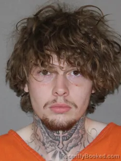 Mugshot of Leelynn D Guerieri Fuller