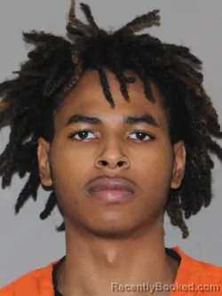 Mugshot of Zamarrion Williams