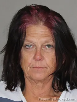Mugshot of Lori L Stanfa
