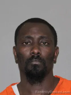 Mugshot of Tonka Johnson