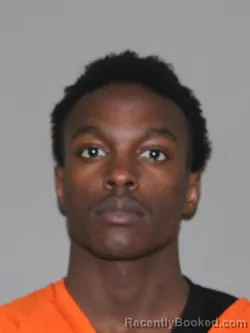 Mugshot of Pheodor Sands