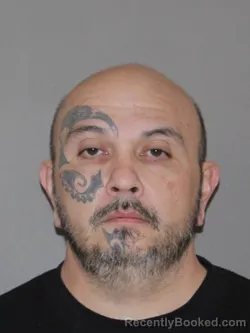 Mugshot of Derek W Buan