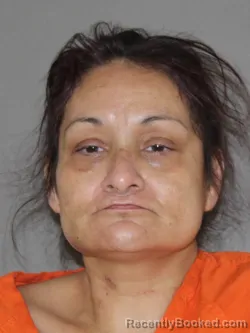 Mugshot of Christina Carroll