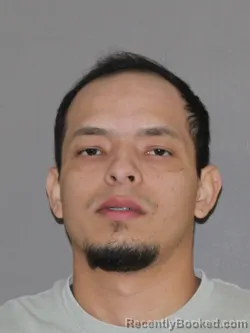 Mugshot of Wildarly Gonzalez Perdoma