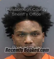 Booking photo from Hillsborough County, Florida