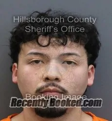 Booking photo from Hillsborough County, Florida