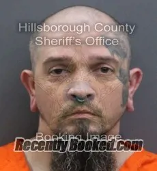 Booking photo from Hillsborough County, Florida