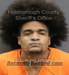 Booking photo from Hillsborough County, Florida
