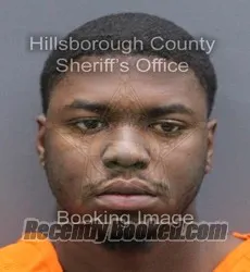 Booking photo from Hillsborough County, Florida