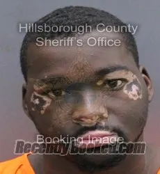 Booking photo from Hillsborough County, Florida
