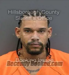 Booking photo from Hillsborough County, Florida