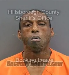 Booking photo from Hillsborough County, Florida