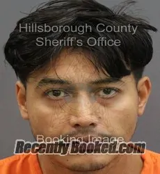 Booking photo from Hillsborough County, Florida