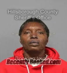 Booking photo from Hillsborough County, Florida