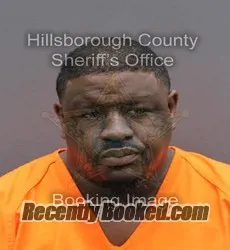 Booking photo from Hillsborough County, Florida