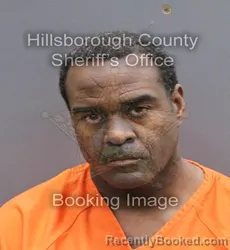 Booking photo from Hillsborough County, Florida