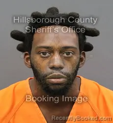 Booking photo from Hillsborough County, Florida