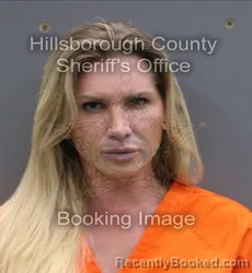 Booking photo from Hillsborough County, Florida
