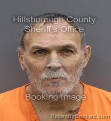 Booking photo from Hillsborough County, Florida