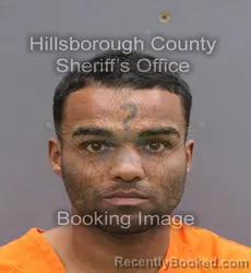 Booking photo from Hillsborough County, Florida