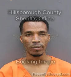 Booking photo from Hillsborough County, Florida