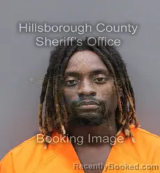 Booking photo from Hillsborough County, Florida