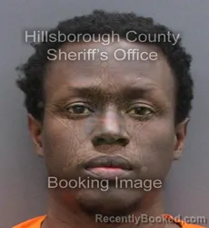 Booking photo from Hillsborough County, Florida