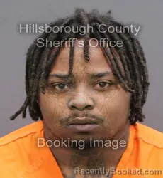 Booking photo from Hillsborough County, Florida
