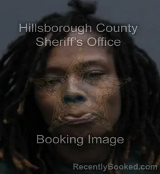 Mugshot of ERICA REGINA WOODS