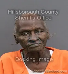 Mugshot of ANNETTE MARIE BUSH