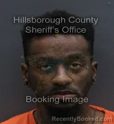 Mugshot of BRANDON LIONEL BROWN