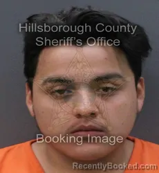 Mugshot of LUIS FERNANDO SANCHEZ
