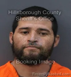 Mugshot of RAMON ROQUE