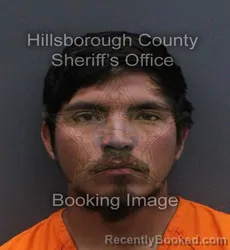 Mugshot of LUIS ANGEL CORONADO