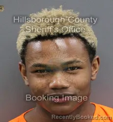 Mugshot of KHALEB MARC-YVES BISSAINTHE