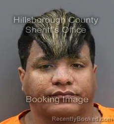 Mugshot of MARIO SERGIO REYES PORTELA