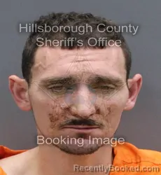 Mugshot of DEE BRYANT ANDERSON