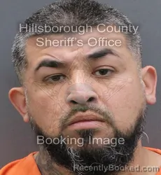Mugshot of JOSE MANUEL JR AVILA